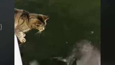 Animals are truely amazing, i mean look at them