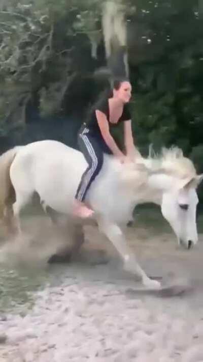 Damn. I just served lunch. I'm not to be blamed for what happened next.