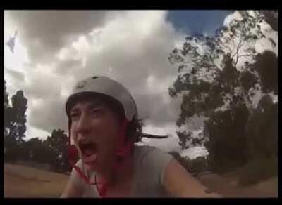 being chased by a bird