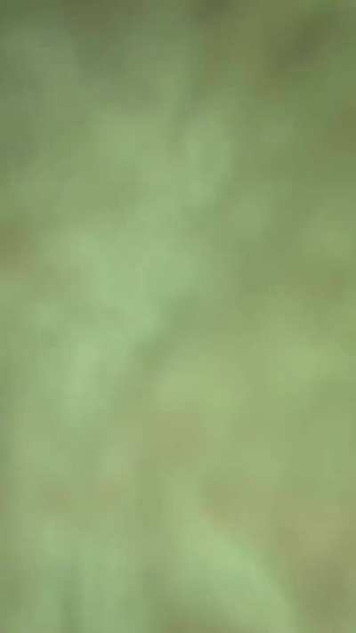 Jumping into the abyss 💀