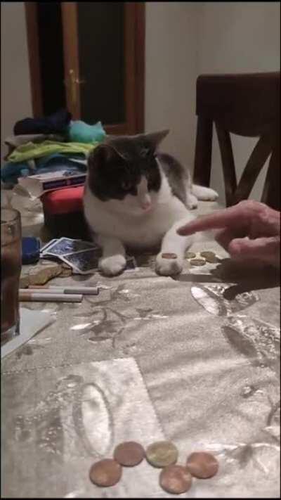 Ele nem precisou praticar EZ