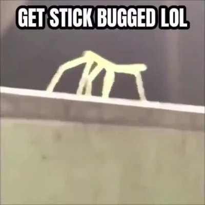 (An interesting title)