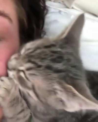 touch tha face