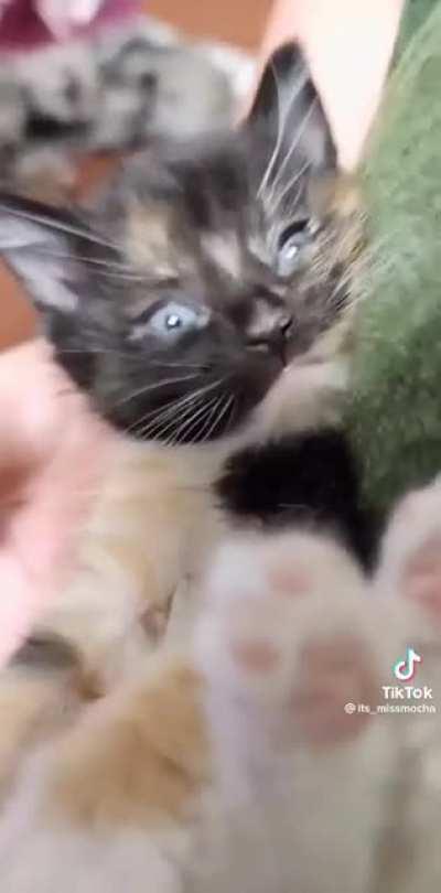 I literally felt my heart melt as she nodded off 🥹