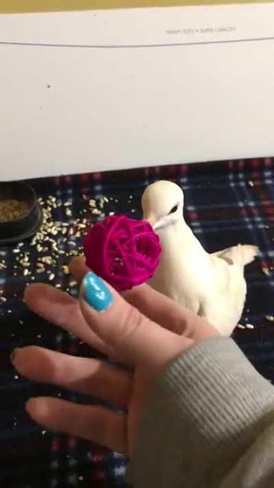 Episode 2 to de Dove-Akin saga.