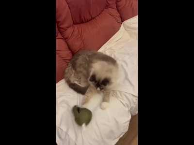 After KS's landmine debacle I decided to give their grenades a try