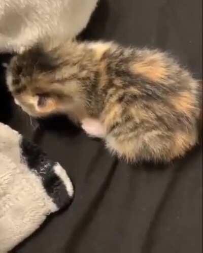 don't know if this was posted before