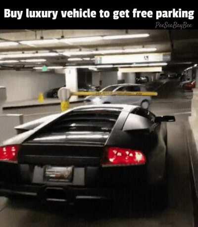 SLPT: How to Avoid Parking Fees