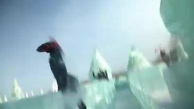 Hold my camera while I run on ice