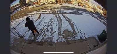 Coworker's son using a plastic shovel on an icy driveway.