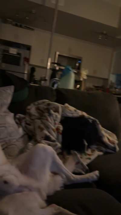 Excuse me… if you’re not busy..