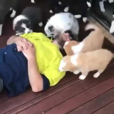 The best kind of therapy.