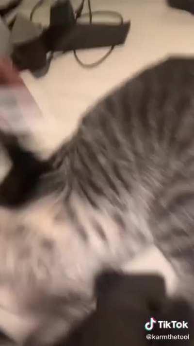 Season 4 looks great