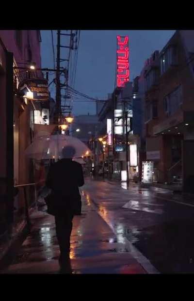 A rainy street in Tokyo, just after sunset