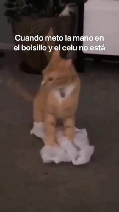 Cuando bajo del metro..