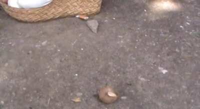 Somebody have full clips from this store to trade ?