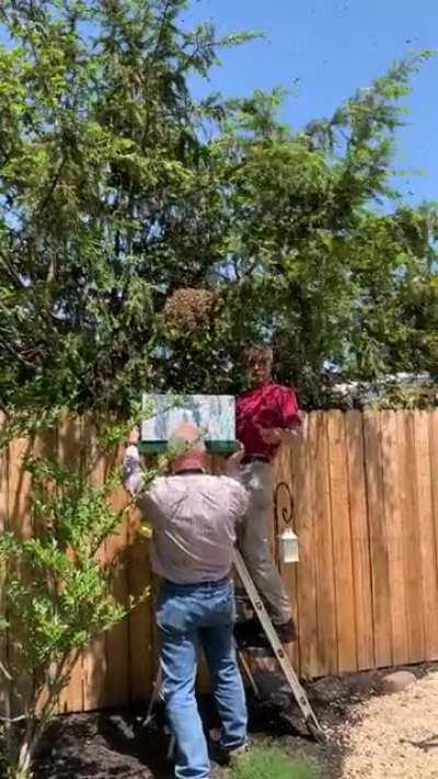 WCGW: Shaking a tree full of bees