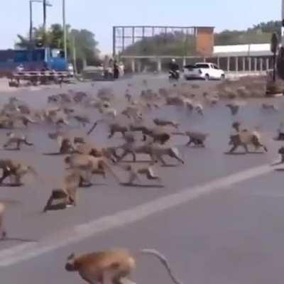PROXIMO CHURRAS DOS CRIAS VAI SER MIDIA