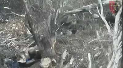 Close combat between a Russian and Ukrainian soldier near Pokrovsk. Late 2024