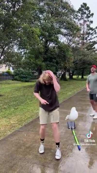 Credits - u/Nathen_black