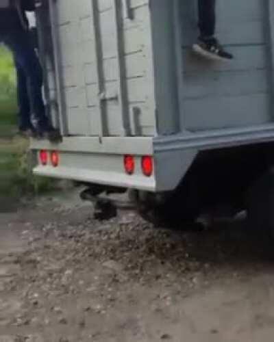 Hitmen, I didn't find any information