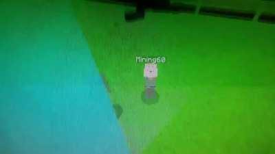 Minecraft decides it doesn't like limbs, has a stroke