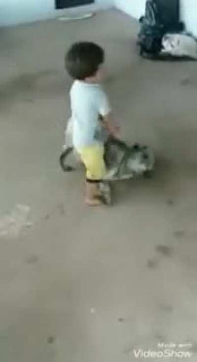 Child gets YEETED by dog