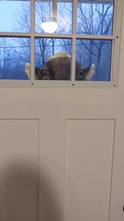 Hi I’m your new neighbor