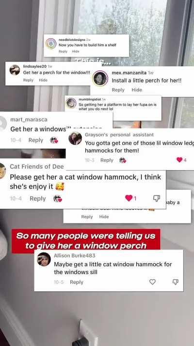 Anti fluff overspill window perch 😹