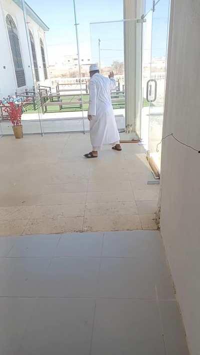 Does having a orange brain qualify? 