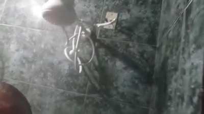 Pega o Lorenzetti 😎