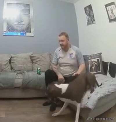 This guy when he thinks he dog had passed