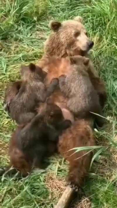 What a lovely family 😊