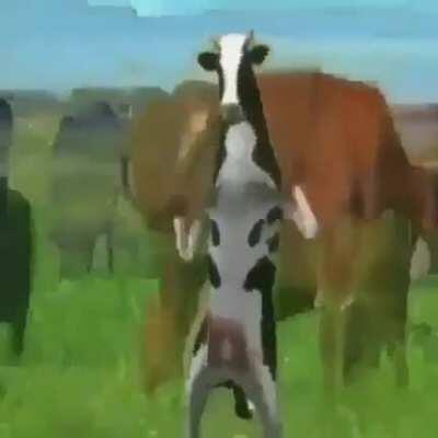 when u forget to feed ur cow his daily portion of polonium isotopes and piss lol