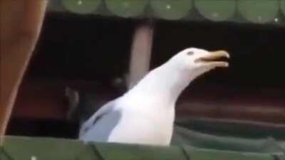 Y-yamete kudasai 😳👉🏻👈🏻