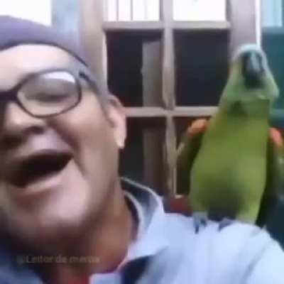 ahahahahaAHGHHGHHHHH