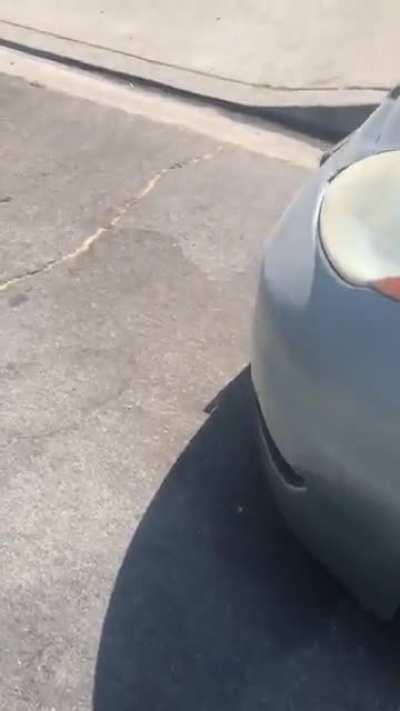 Aftermath of the Molotov someone threw in my dads van / the neighbors car last night.