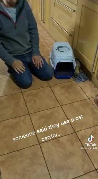 Wait for it!! A different kind of Abrupt Chaos!