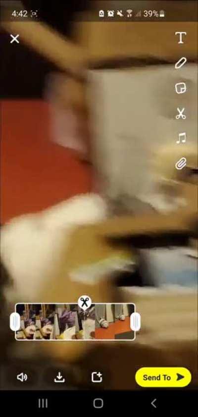 The elusive walking bunny. Where's his hop?