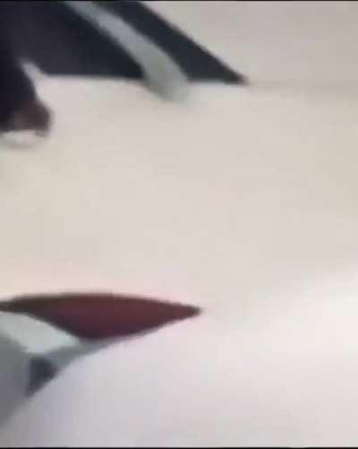 Holup, who tf are you?