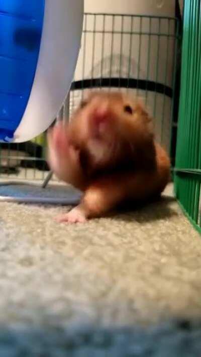 Benjamin's big stretch!