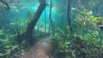 hiking trail gets submerged after heavy rain