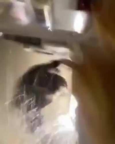 Grabbing food at 3am.