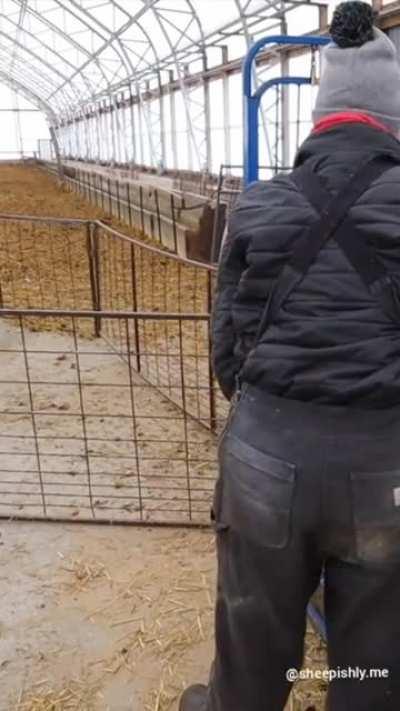 Marge is a doll and an absolute unit