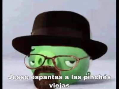 Jesse espantas a las pinches viejas