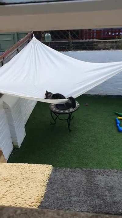 Exactly why we can't have nice things