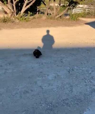 Soundsmith when he market gardens