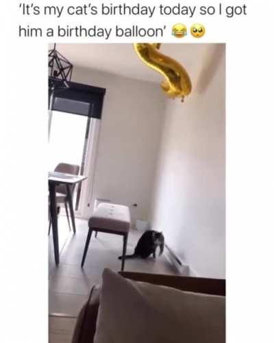 HMCN while I Hold my Baloon