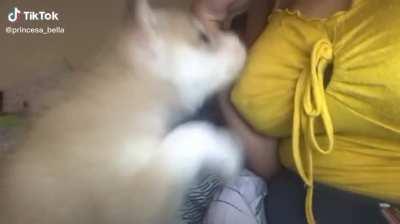 Hungry puppy @princesa_bella