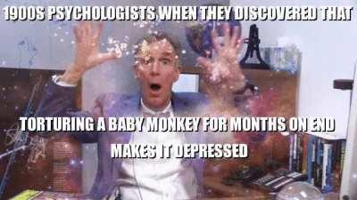 Thank you Harry Harlow for your brilliant contributions 👍